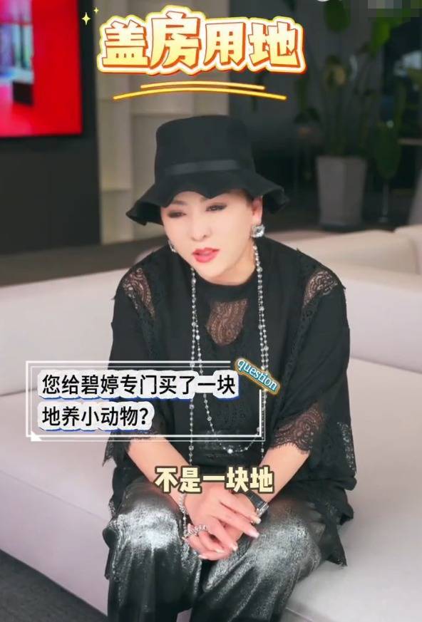 向太给儿媳买地养宠物 大方送孙子孙女Labubu