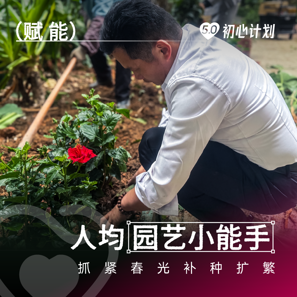 画板 7 副本 5.png