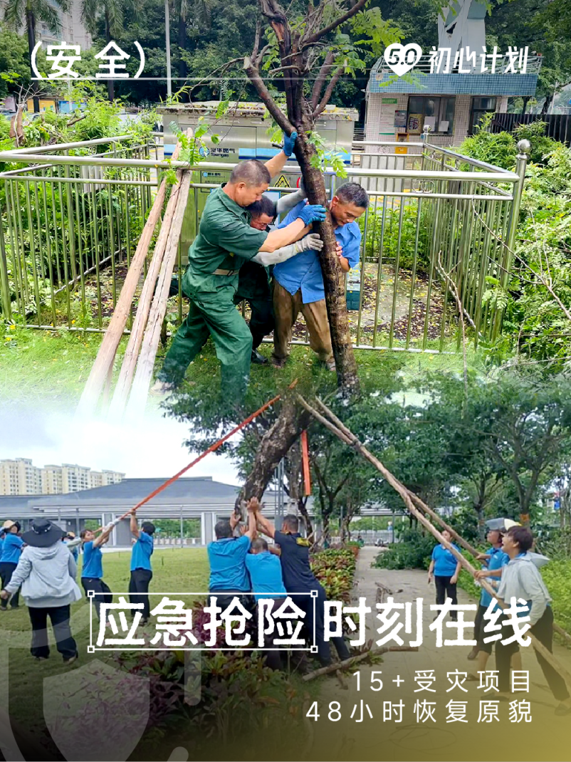 画板 7 副本 12.png