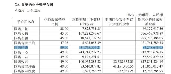 截图自国药现代2024年年报