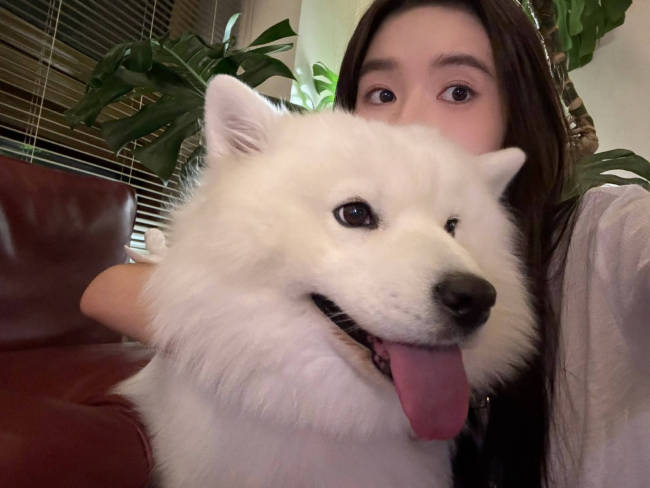 王玉雯更新生活随拍 与雪白大狗自拍合影状态惬意