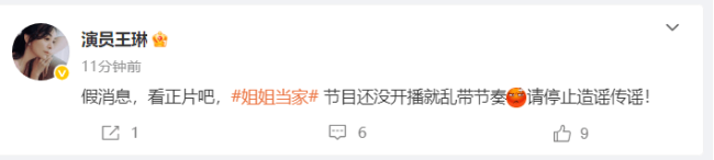 王琳回应被儿子掌掴传闻：假消息请停止造谣
