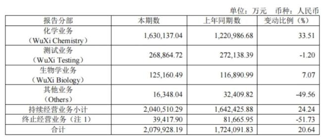 （来源：药明康德2025年中报）