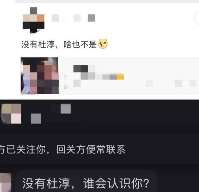 王灿回应“杜淳老婆”标签光环：借了点他的光