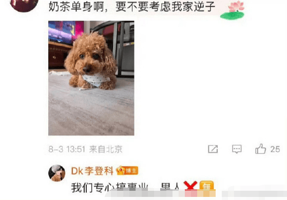 暗示娜扎单身？经纪人回复网友：我们专心搞事业！