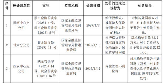 图源：大地财险2025年一季度偿付能力报告