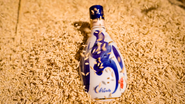 五载粮心路，一部品质史：汾酒第一车间深入新疆奇台！