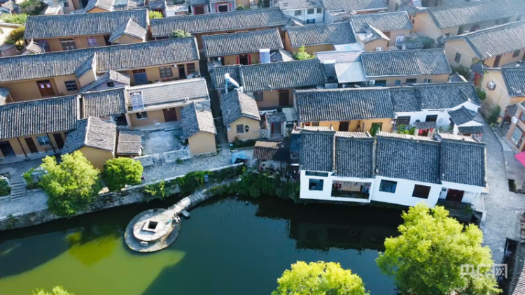 【牢记嘱托看见美好中国】“红绿”生金 绘就老区新景