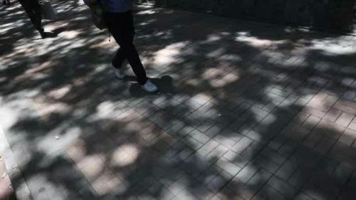 「曬」