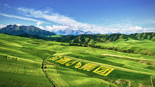 汾酒的“稳”字诀