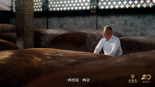 解码五粮液的品质密码——微生物