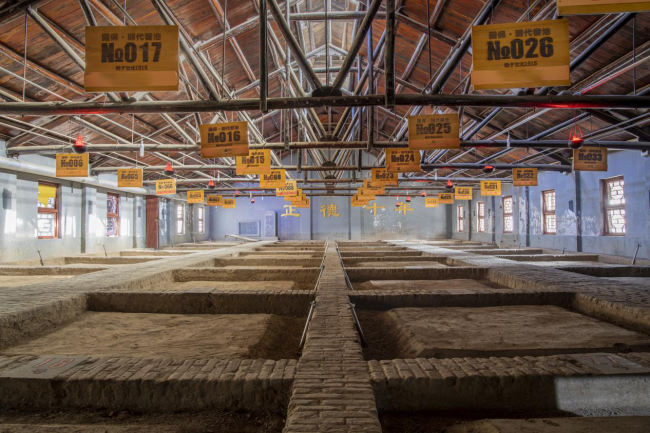 图丨明代窖池群