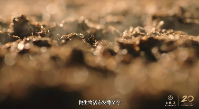 中国烹饪大师“寻香”元明古窖池群,探寻五粮液“大国浓香”密码