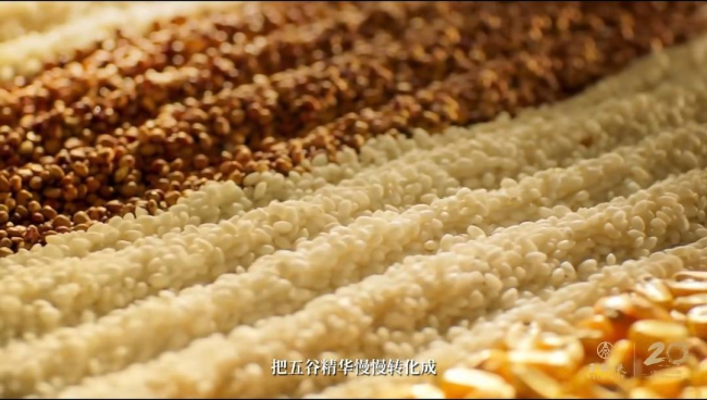 中国烹饪大师“寻香”元明古窖池群,探寻五粮液“大国浓香”密码