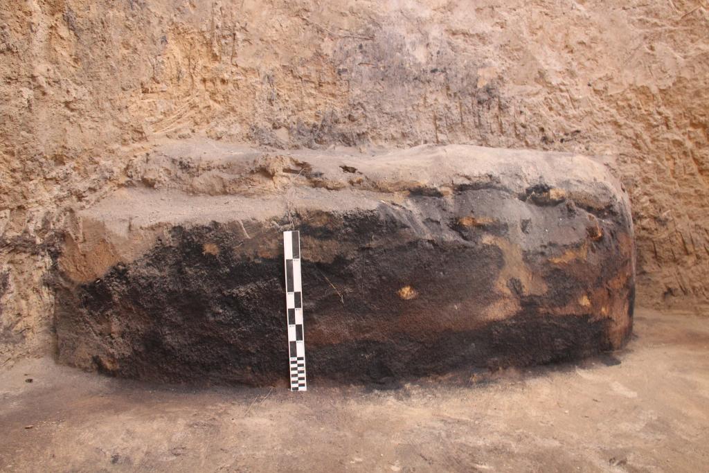 这是罗家河遗址发现的碳化物遗存。（咸阳市文物考古研究所供图）