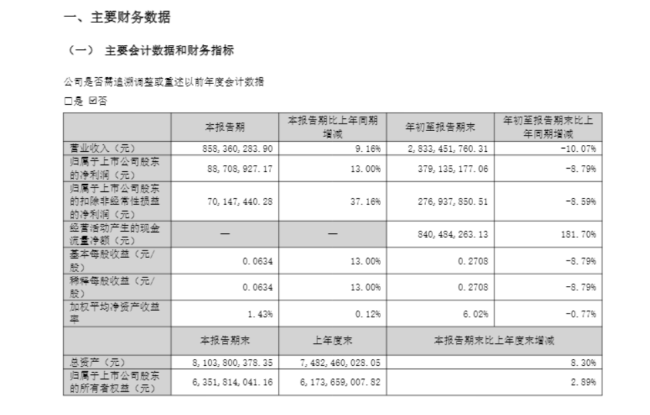 图源：仁和药业财报截图