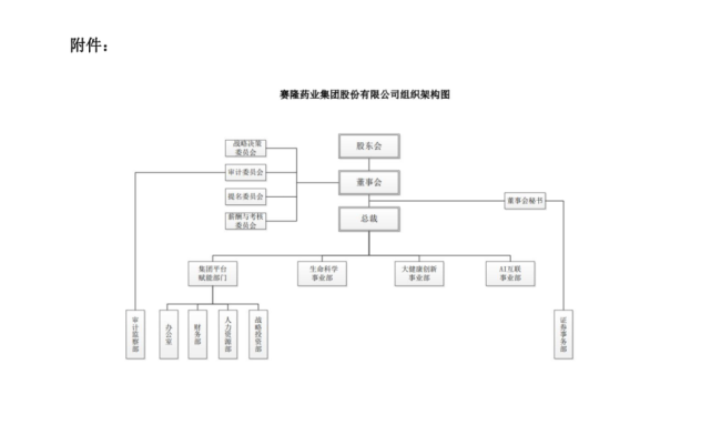 赛隆药业调整后的组织架构图