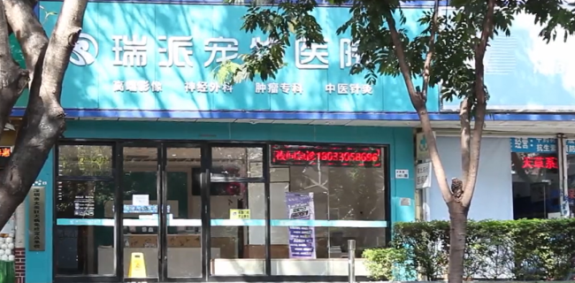 宠物医院好不好干？瑞派招股书里有答案