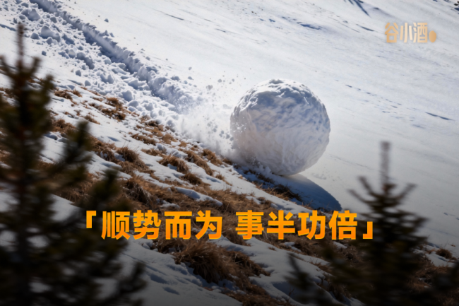 谷小酒刘飞：《2026：全力开火 干就完了》