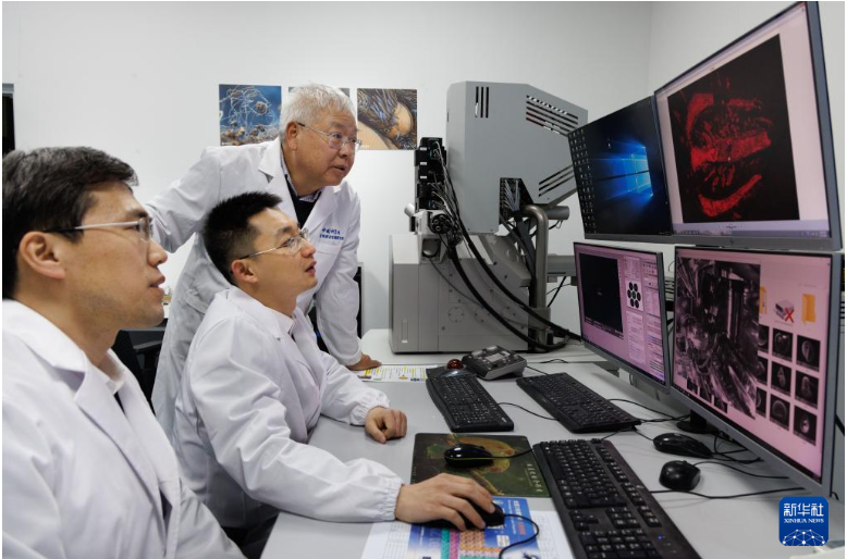 1769669972801.png 1769669972801.png