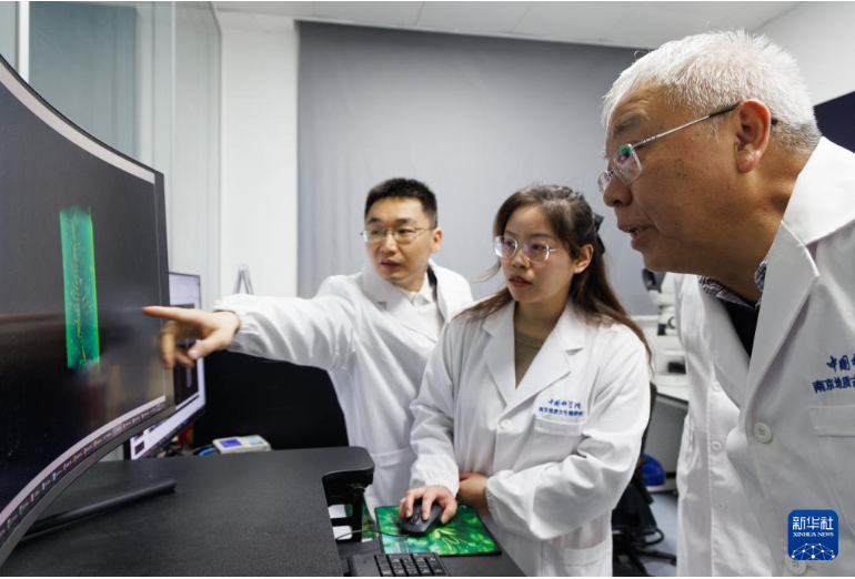 1769672985889.png 1769672985889.png