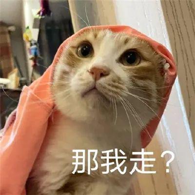 高中生必看的九科难度排名！谁是你的MVP！