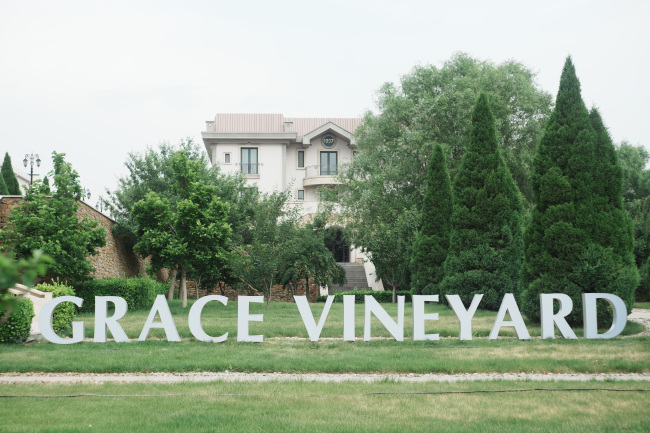 签约仁怀，发布“四个三年计划”：怡园酒业2026开启新战略跃迁