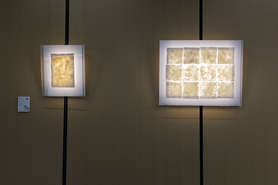 《溯&middot;观》黄子桐