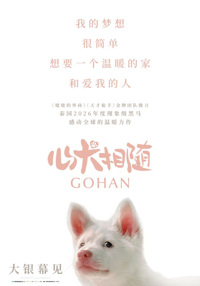 泰国年度票冠《心犬相随》引进内地 粉红桃心鼻小白狗萌翻大银幕