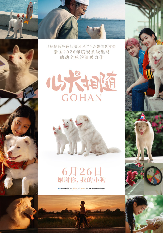 泰国票房爆款电影《心犬相随》定档6月26日 温暖治愈感动全球